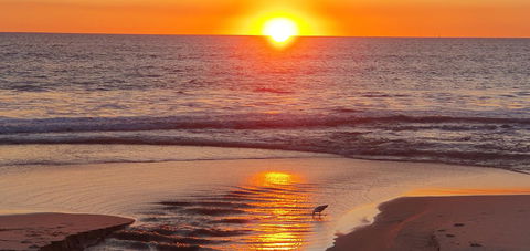 West Beach Lagoon 213 - Corner Unit! - Accommodation Sunshine Coast 24