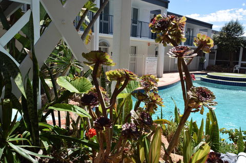 West Beach Lagoon 213 - Corner Unit! - Accommodation Sunshine Coast 12