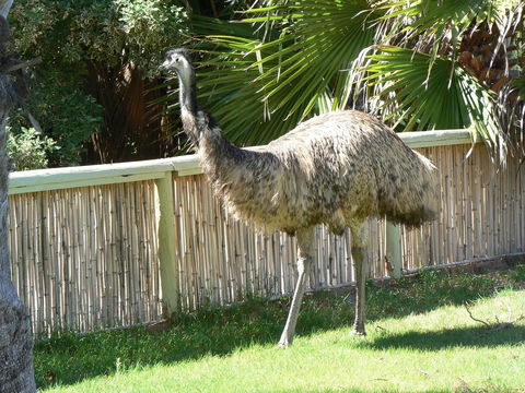 Wildsights Villas - Accommodation Sunshine Coast 29