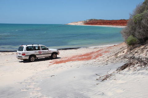 Wildsights Villas - Accommodation Sunshine Coast 12