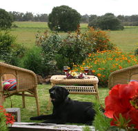 Silversprings cottages - Accommodation Sunshine Coast