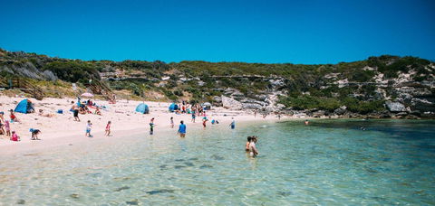 The White House At Wallcliffe Farms - Accommodation Sunshine Coast 23