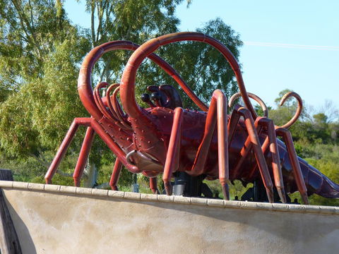 Leander Reef Holiday Park - Accommodation Sunshine Coast 4