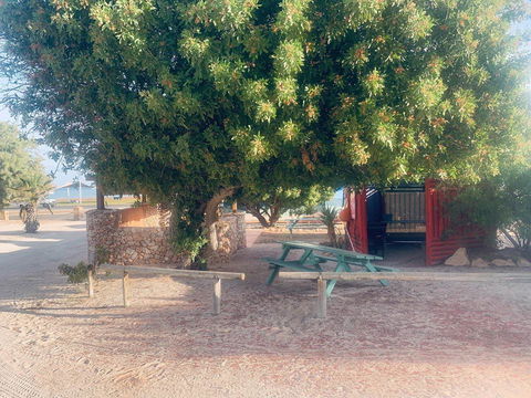 Shark Bay Cottages - Accommodation Sunshine Coast 35