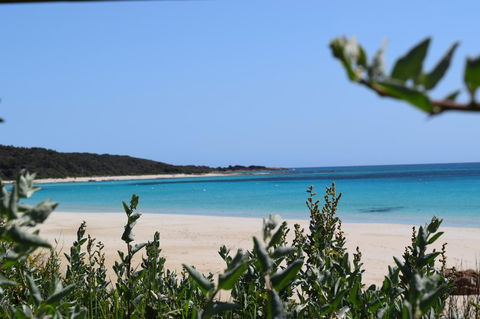 Eagle Bay House - Accommodation Sunshine Coast 13