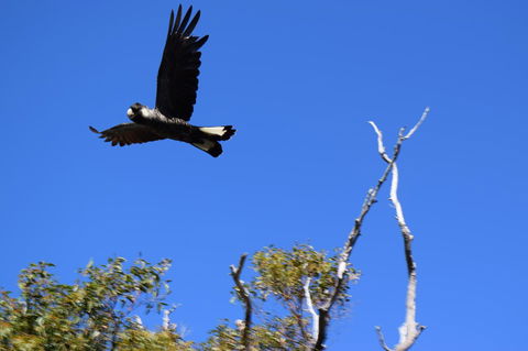Eagle Bay House - Accommodation Sunshine Coast 20