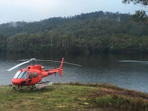 Tullah Lakeside Lodge - Accommodation Sunshine Coast 12