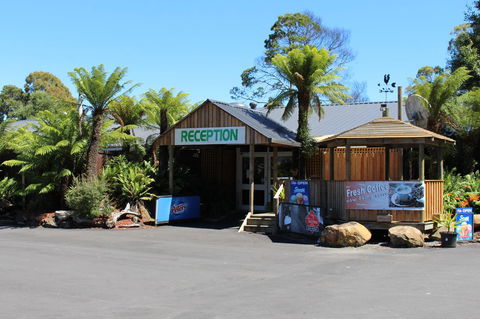 Tullah Lakeside Lodge - Accommodation Sunshine Coast 5