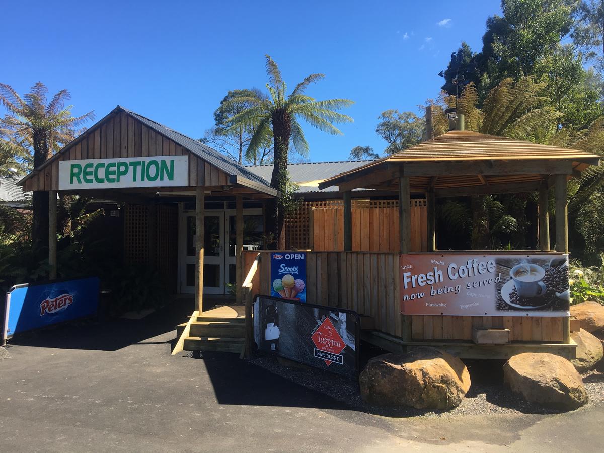  Accommodation Sunshine Coast