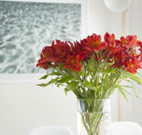 On The Beach Waterfront Apartment - Accommodation Sunshine Coast