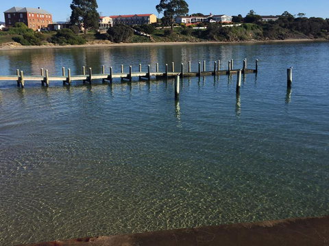 Swansea Holiday Park Tasmania - Accommodation Sunshine Coast 40