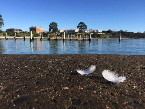 Swansea Holiday Park Tasmania - Accommodation Sunshine Coast 39