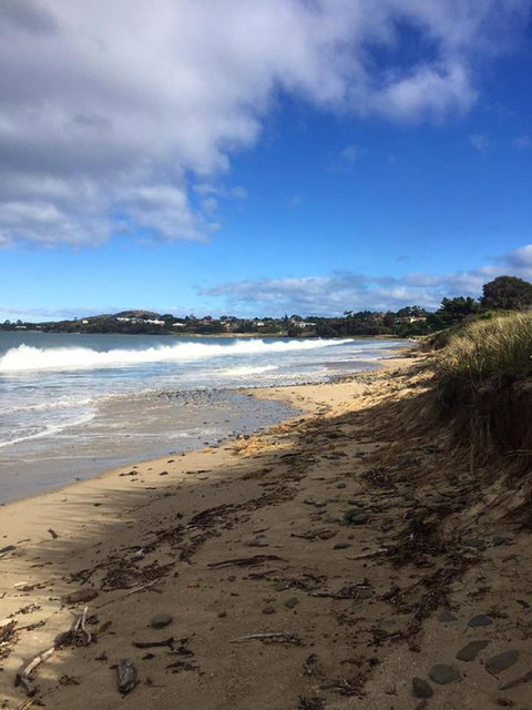 Swansea Holiday Park Tasmania - Accommodation Sunshine Coast 15