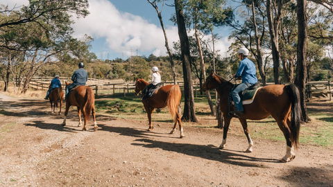 Country Club Tasmania - Accommodation Sunshine Coast 7