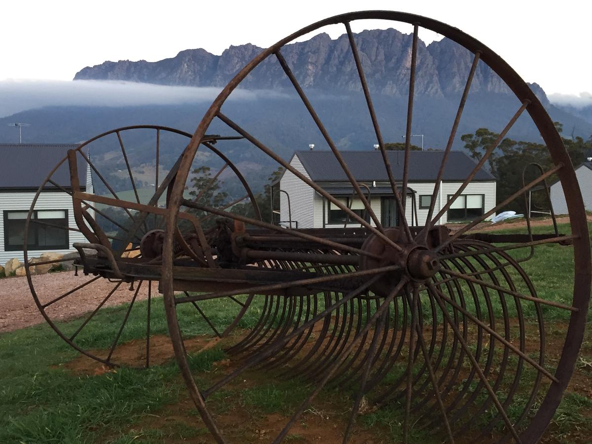 Roland TAS Accommodation Sunshine Coast