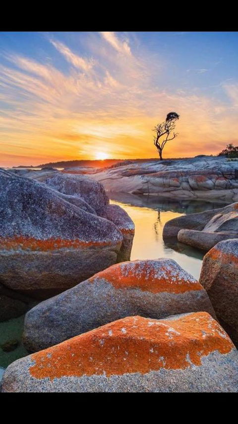 Georges Bay Apartments - Accommodation Sunshine Coast 4