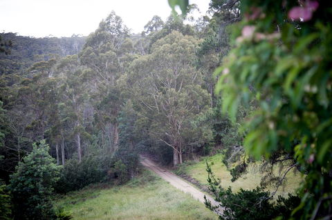 The Pear Cottage - Accommodation Sunshine Coast 19