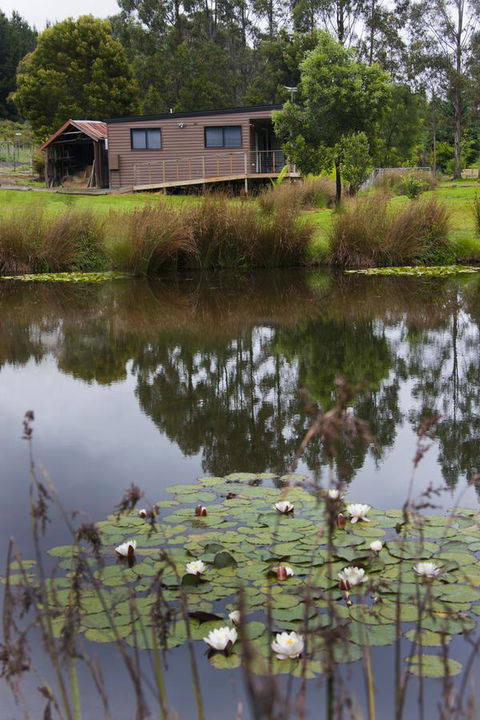 Tyenna River Cottages - Accommodation Sunshine Coast 13