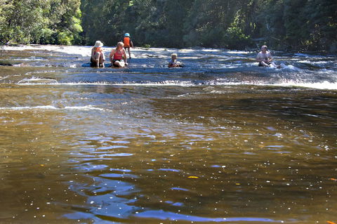 Tyenna River Cottages - Accommodation Sunshine Coast 9