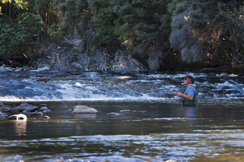 Tyenna River Cottages - Accommodation Sunshine Coast 21