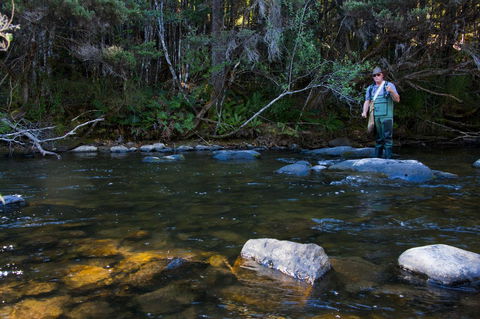 Tyenna River Cottages - Accommodation Sunshine Coast 2