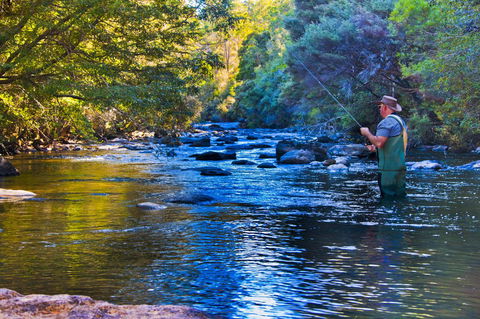 Tyenna River Cottages - Accommodation Sunshine Coast 22