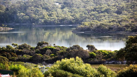 SEA EAGLE COTTAGE Amazing Views Of Bay Of Fires - Accommodation Sunshine Coast 17