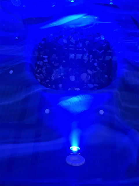 Bakers Retreat - Accommodation Sunshine Coast 5