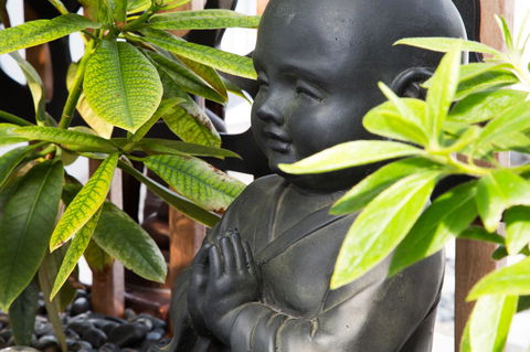 Bakers Retreat - Accommodation Sunshine Coast 12