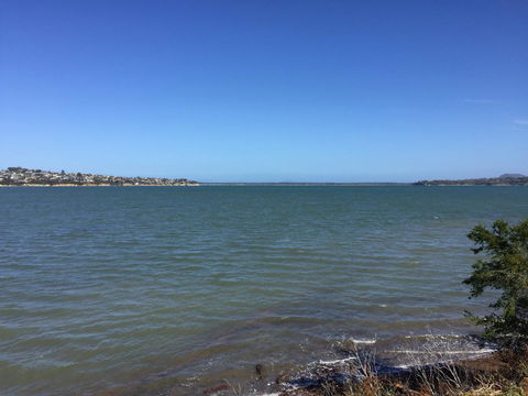 Garden By The Beach - Gateway To The East Coast, Close To Airport - Accommodation Sunshine Coast 16
