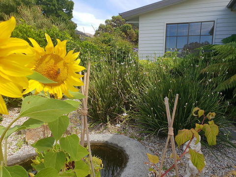 Garden By The Beach - Gateway To The East Coast, Close To Airport - Accommodation Sunshine Coast 13