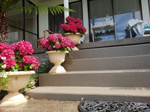 Garden By The Beach - Gateway To The East Coast, Close To Airport - Accommodation Sunshine Coast 8