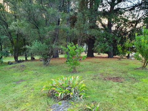 Roland B&B - Accommodation Sunshine Coast 31
