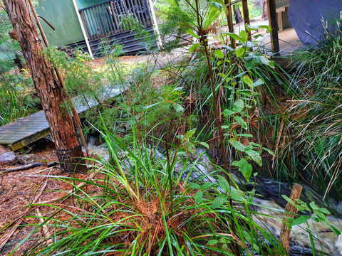 Roland B&B - Accommodation Sunshine Coast 17