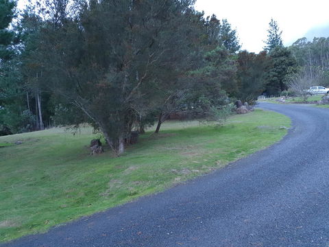 Roland B&B - Accommodation Sunshine Coast 23