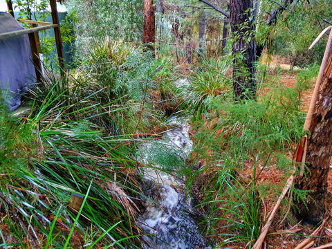 Roland B&B - Accommodation Sunshine Coast 22