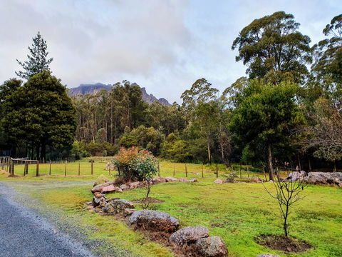 Roland B&B - Accommodation Sunshine Coast 19