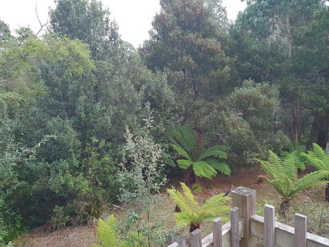 Roland B&B - Accommodation Sunshine Coast 41