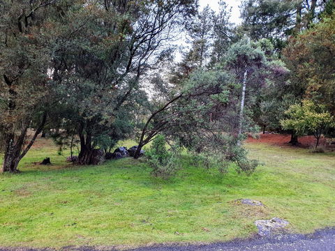 Roland B&B - Accommodation Sunshine Coast 20
