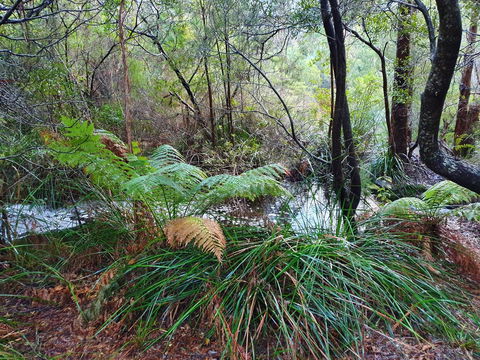 Roland B&B - Accommodation Sunshine Coast 29
