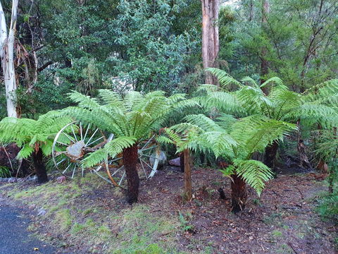 Roland B&B - Accommodation Sunshine Coast 33