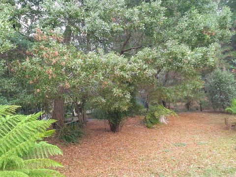 Roland B&B - Accommodation Sunshine Coast 40
