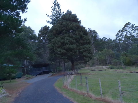Roland B&B - Accommodation Sunshine Coast 25