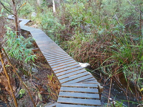 Roland B&B - Accommodation Sunshine Coast 34