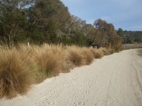 Pipe Clay Cottage - Accommodation Sunshine Coast 38
