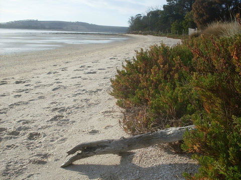 Pipe Clay Cottage - Accommodation Sunshine Coast 35