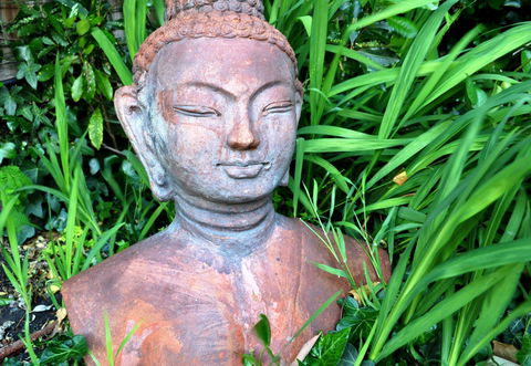 Belton Apartments-Hedge Cottage - Accommodation Sunshine Coast 15