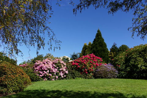 Highgrove - Accommodation Sunshine Coast 15