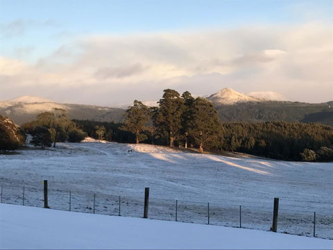 Highgrove - Accommodation Sunshine Coast 26