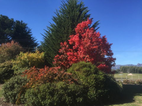 Highgrove - Accommodation Sunshine Coast 22